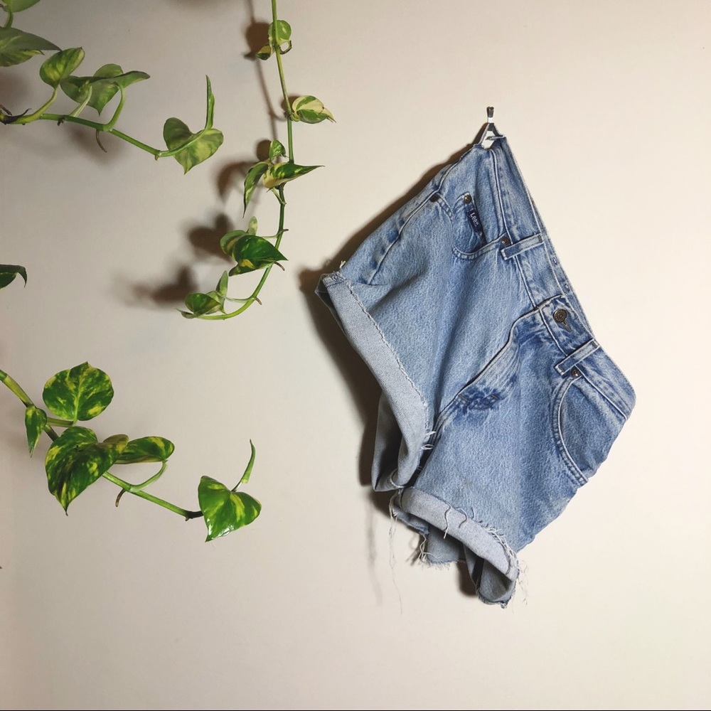 festival wear • lee distressed high-waisted shorts